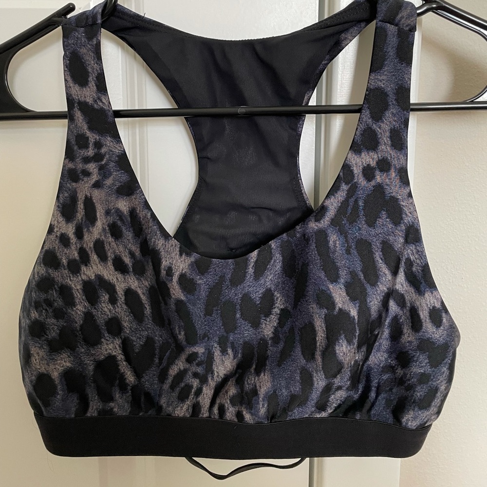 Koral Sports Bra